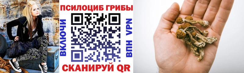 Псилоцибиновые грибы прущие грибы Черняховск