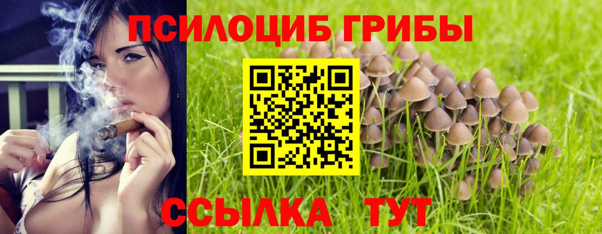Галлюциногенные грибы прущие грибы  Вход с VPN  Черняховск 
